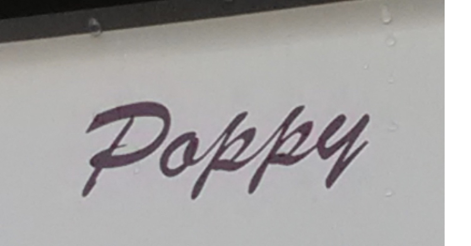 poppy1